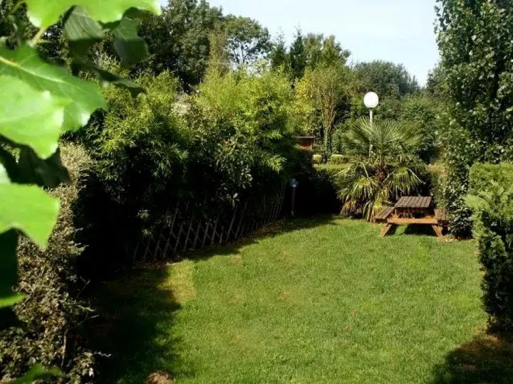 62223e3b2ef662.06971366 md