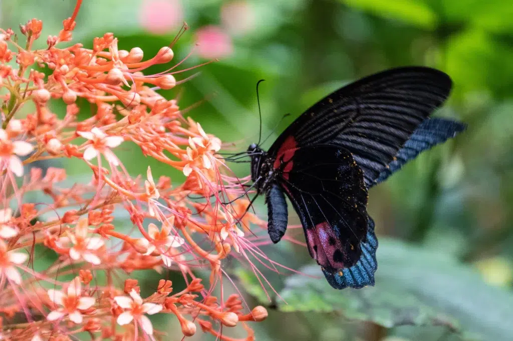 AdobeStock 375561036