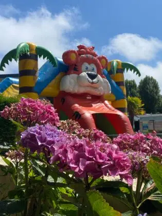 Activités 8 Chateau gonflable pour les enfants
