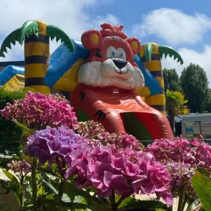 Activités et services 3 Chateau gonflable pour les enfants